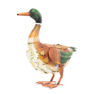 Marcus The Wandering Mallard