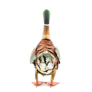 Marcus The Wandering Mallard