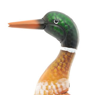 Marcus The Wandering Mallard