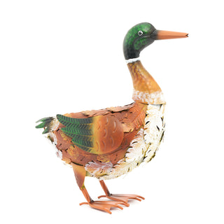Marcus The Wandering Mallard