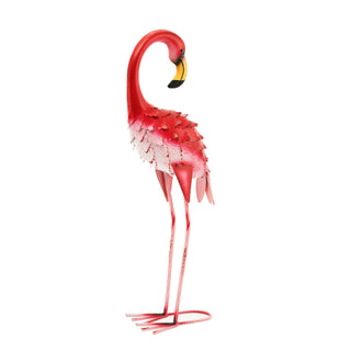 Falicia the Curious Flamingo