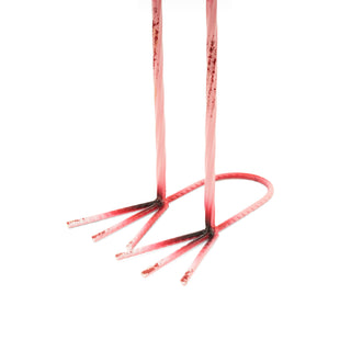 Falicia the Curious Flamingo