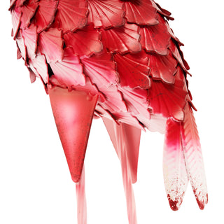 Falicia the Curious Flamingo
